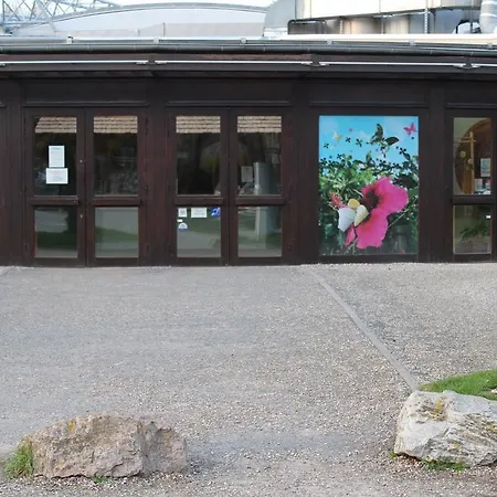 Le Phare 옹플뢰르